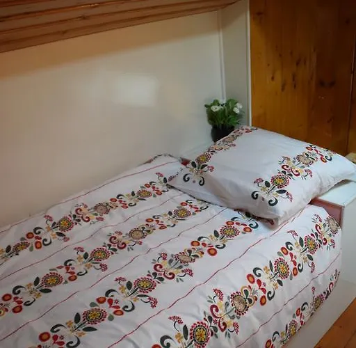 Boat-apartment Fokkelina بوتيل *